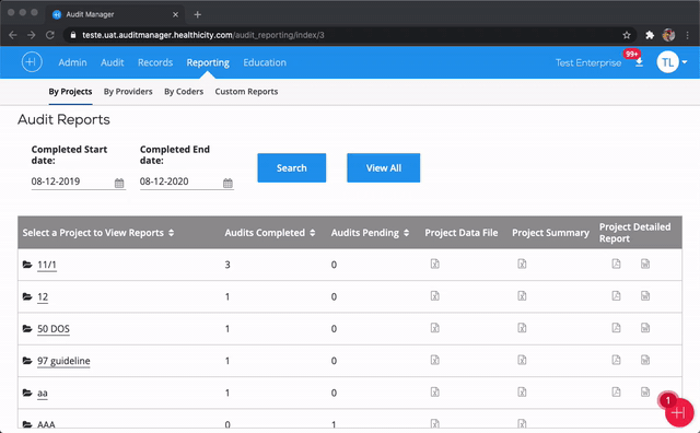 Google-Chrome-Audit-Manager.gif