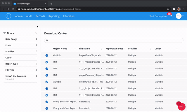 Google-Chrome-Audit-Manager-1.gif