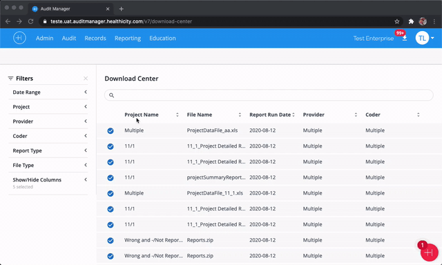 Google-Chrome-Audit-Manager-3.gif