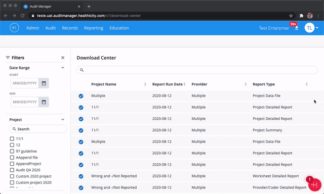 Google-Chrome-Audit-Manager-6.gif