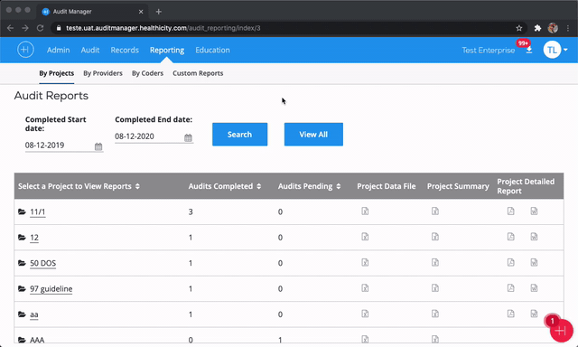 Google-Chrome-Audit-Manager-2.gif