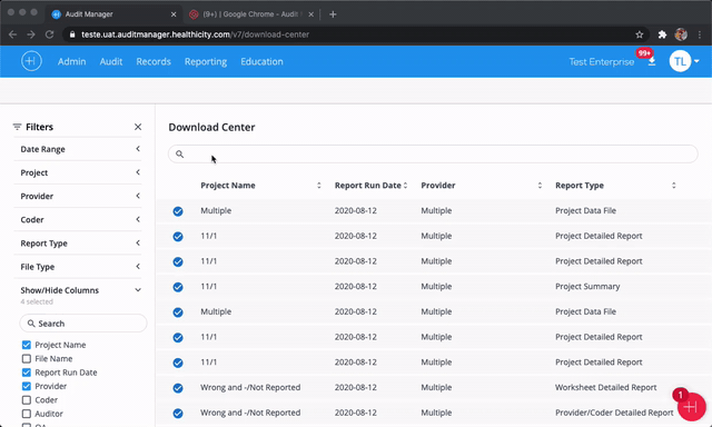 Google-Chrome-Audit-Manager-4.gif